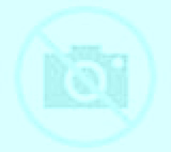 Ximena Nueno escort