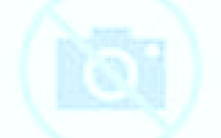 Yasmin 2 Bretocino escort