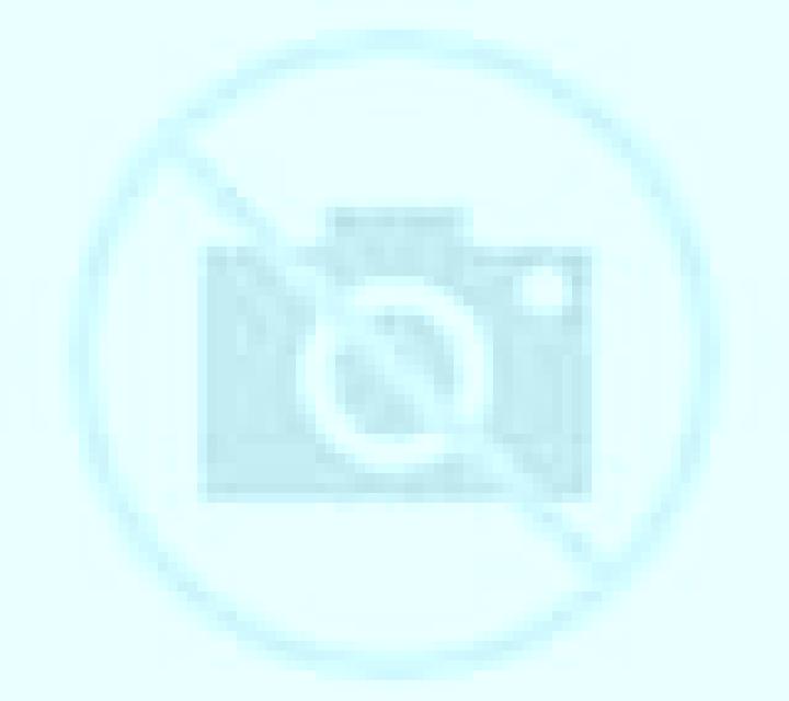 Yasmin 2 Rollan escort