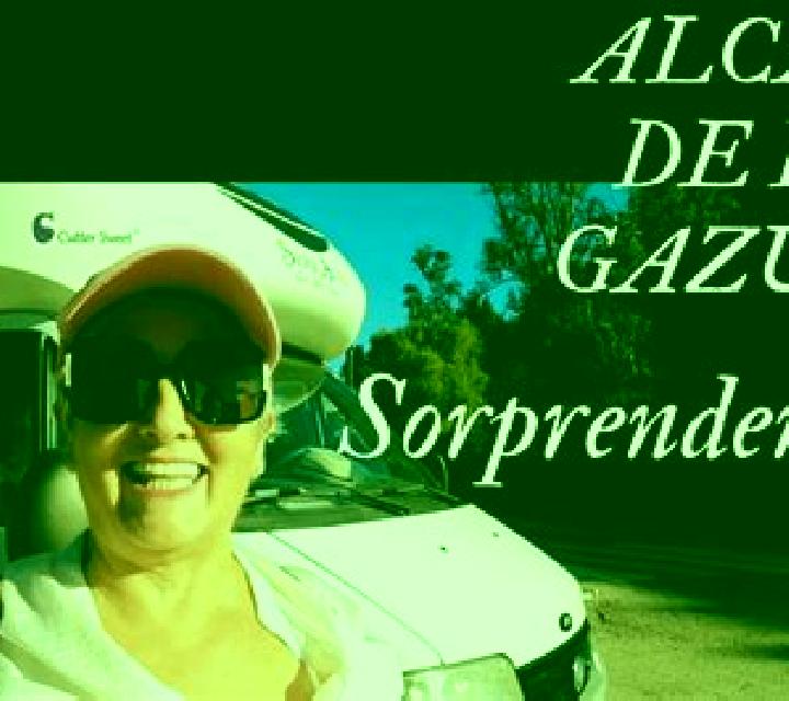 Zara 2 Mondonedo escort