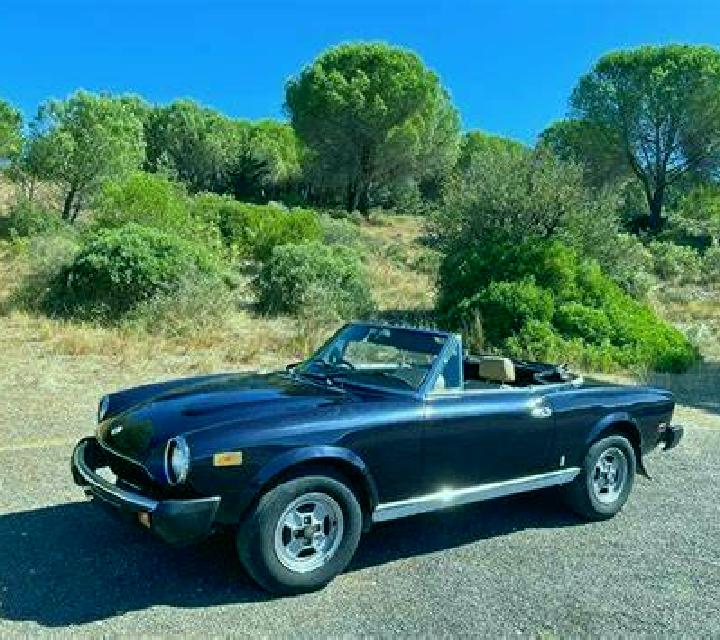 Zara 2 Pinofranqueado escort