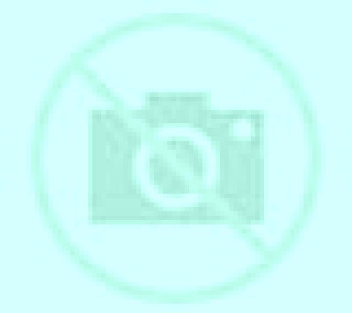 Zara 3 Olves escort